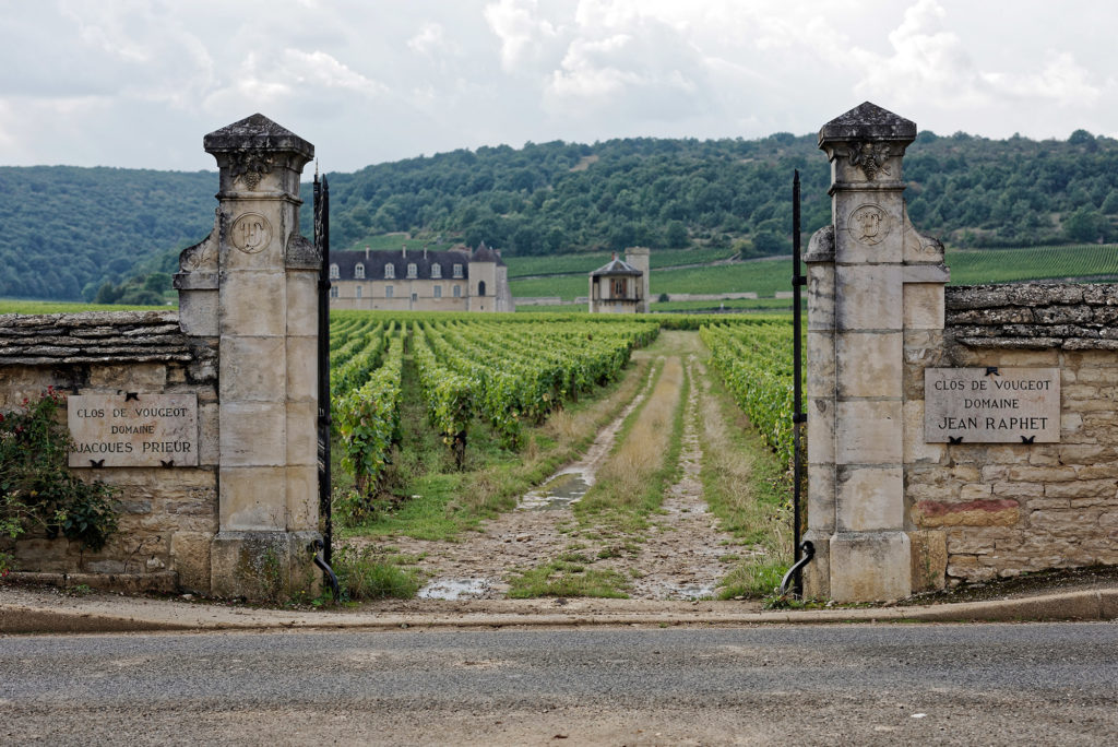 Die Weinlage Clos de Vougeot im Burgund mit Zufahrt und Schloss im Hintergrund